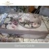 20190423-Barbara Golde-R1159-R0054L-R0055L-example 03